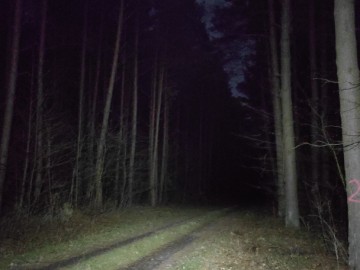 Wiosenny monitoring w Przedborskim Parku Krajobrazowym 2026., 